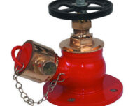 Landing Valve Screwed