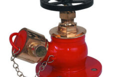 Landing Valve Screwed